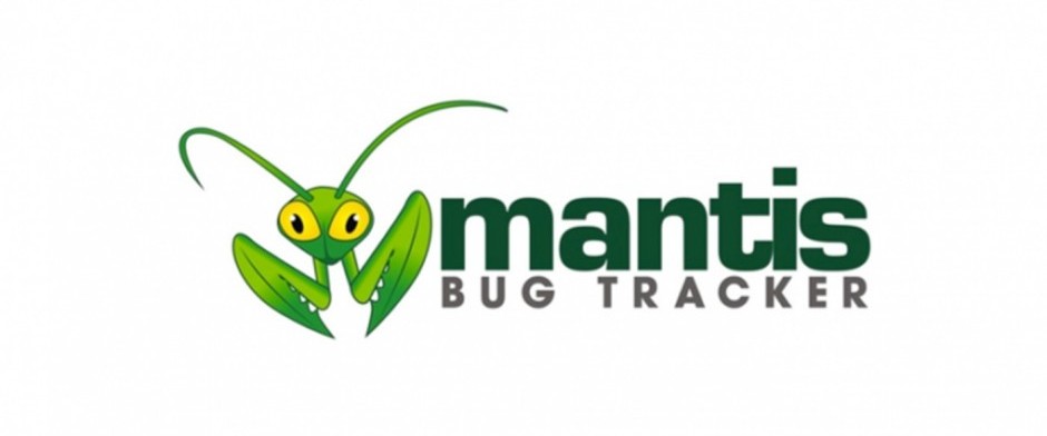 Curso MantisBT